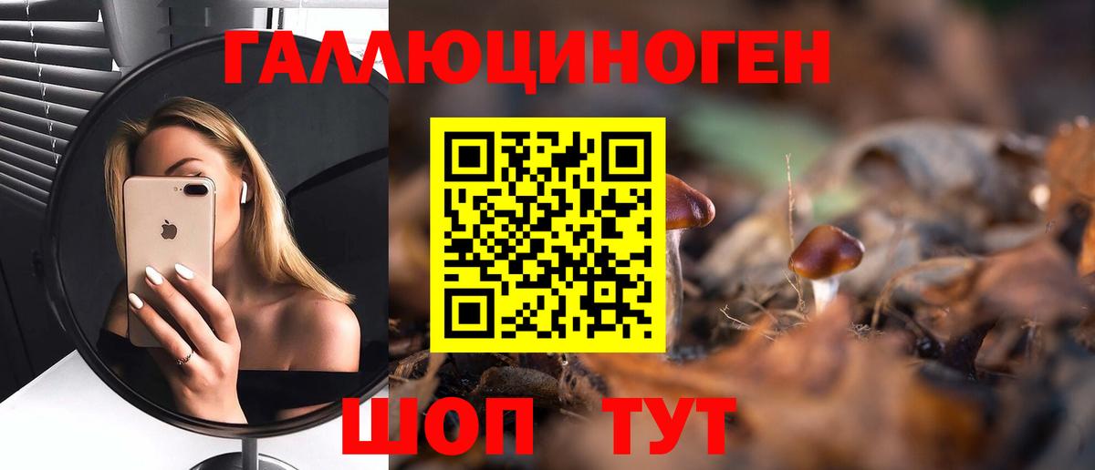 Златоуст  Псилоцибиновые грибы мухоморы  Вход с VPN 